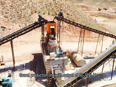 مصنع تعدين خام الذهب 1000 طن/يوم في جمهورية منغوليا